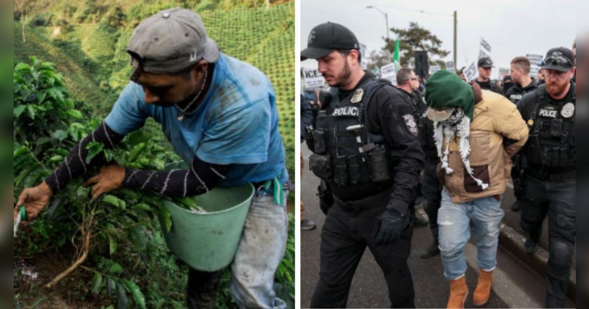 Trabajadores LATINOS agrícolas son arrestados tras drásticos operativos en este estado