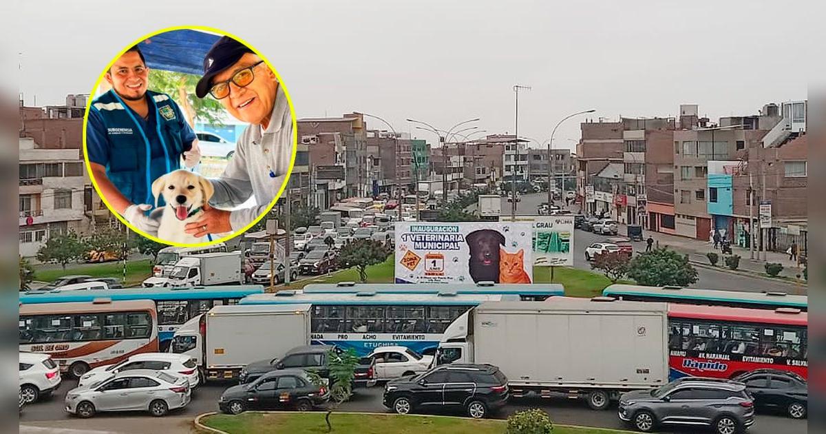 San Martín de Porres tendrá su primera veterinaria municipal: ¿cuándo es la inauguración y dónde se ubicará?
