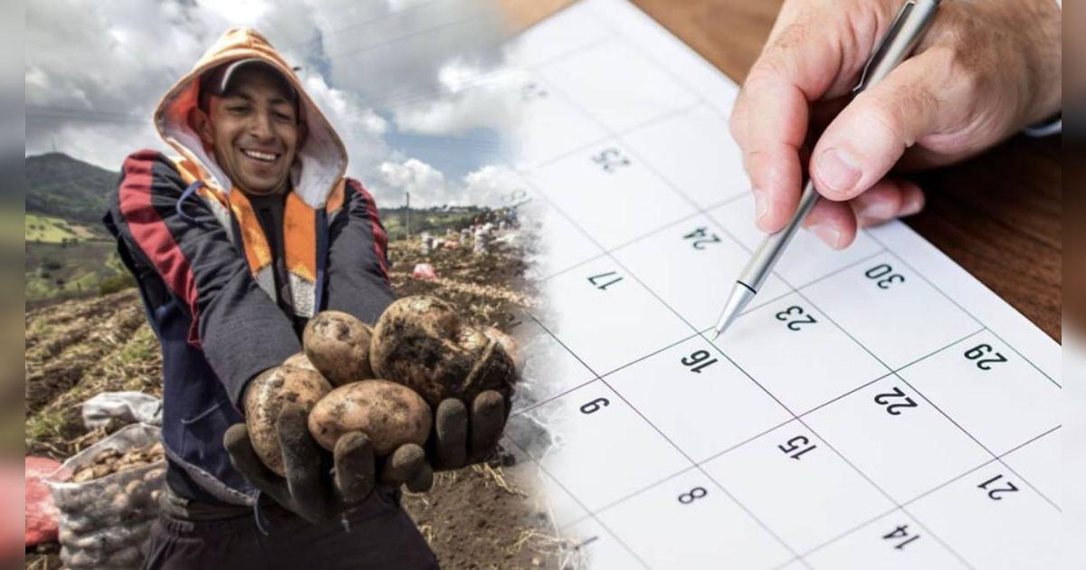¿Se confirmó feriado largo del 30 de mayo al 01 de junio por el Día Nacional de la Papa? Esto dice El Peruano