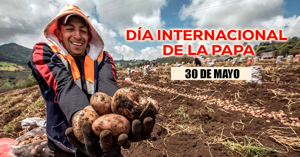 Día Internacional de la Papa: las mejores frases e imágenes para compartir este 30 de mayo
