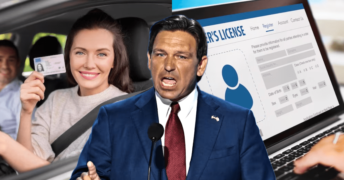 Nueva ley en Florida modifica requisitos para sacar una licencia de conducir: en manos de Ron DeSantis
