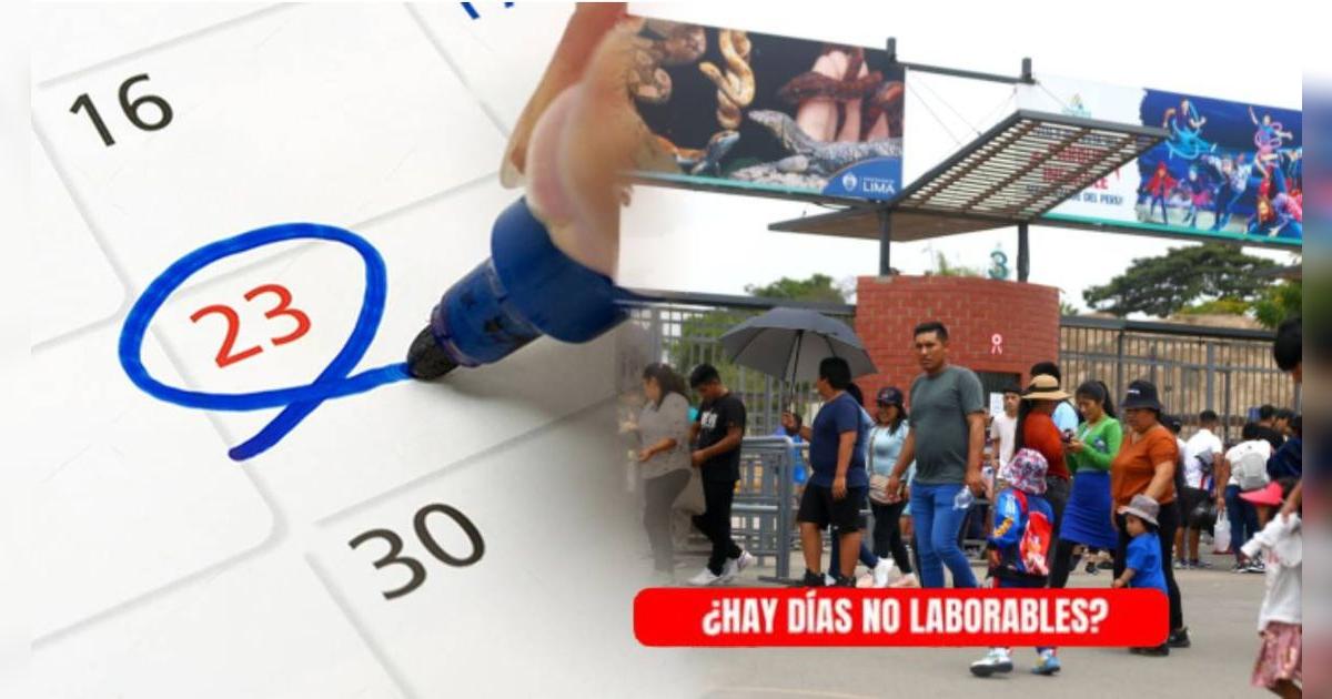 ¿Cuáles son los días no laborables del mes de junio 2025? Conoce qué indica el Gobierno peruano