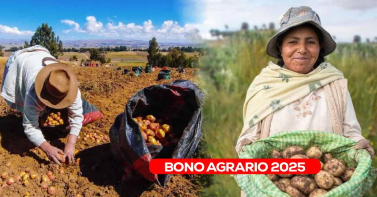 La excelente noticia para productores agrarios: hasta esta fecha se pagarán los S/1,000 del nuevo subsidio