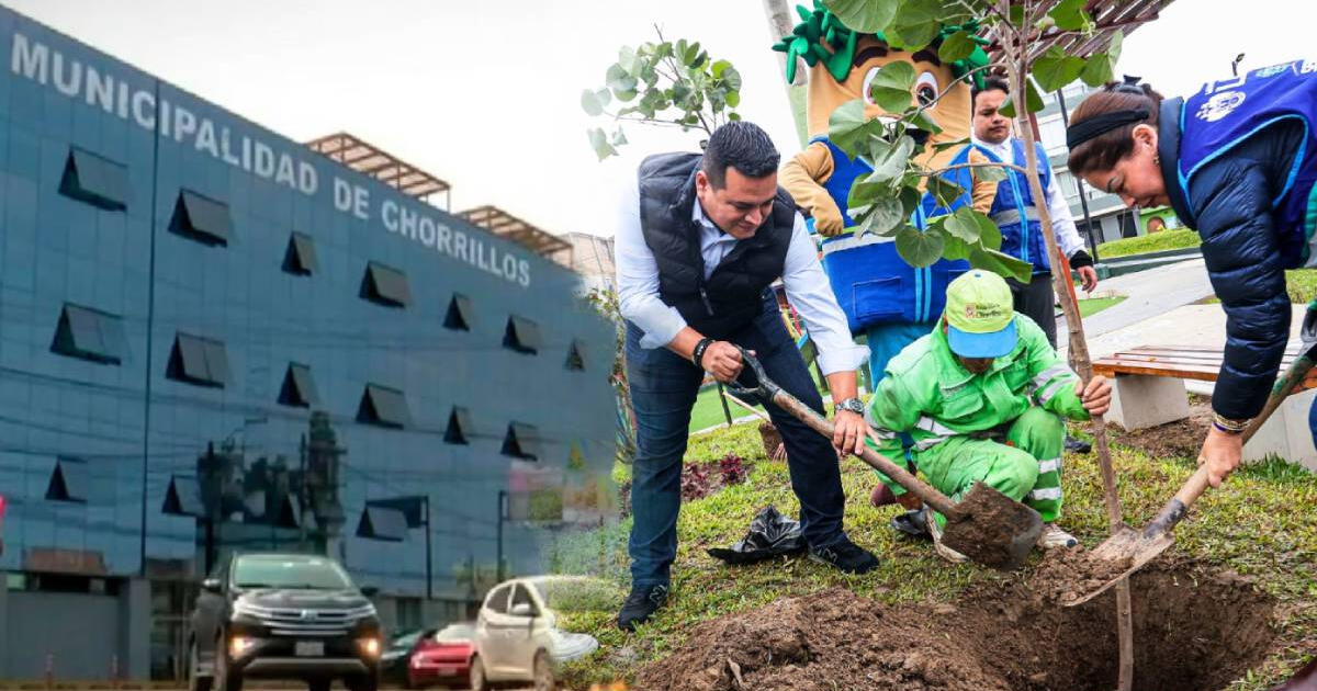 Municipalidad de Chorrillos finalizó esta megaobra para recuperar y mantener las áreas verdes del distrito