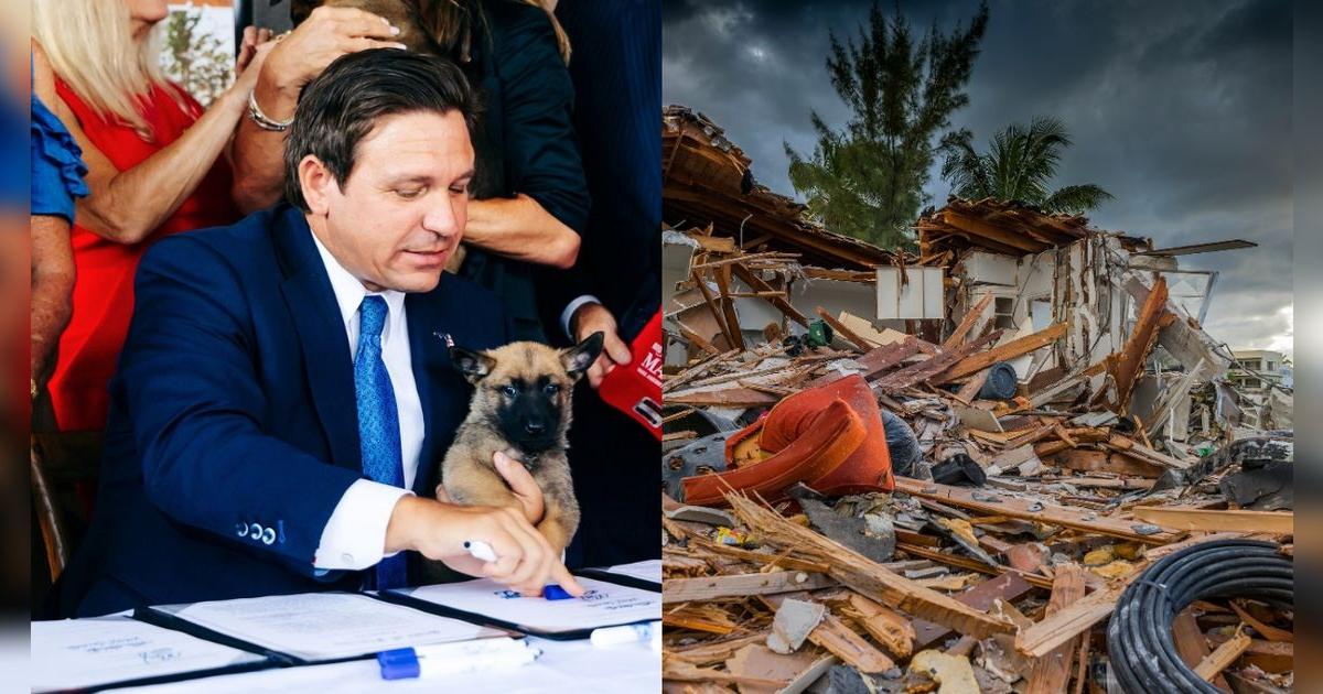 Ron DeSantis lo firmó: las leyes en Florida que imponen fuertes sanciones si abandonan a sus mascotas durante desastres