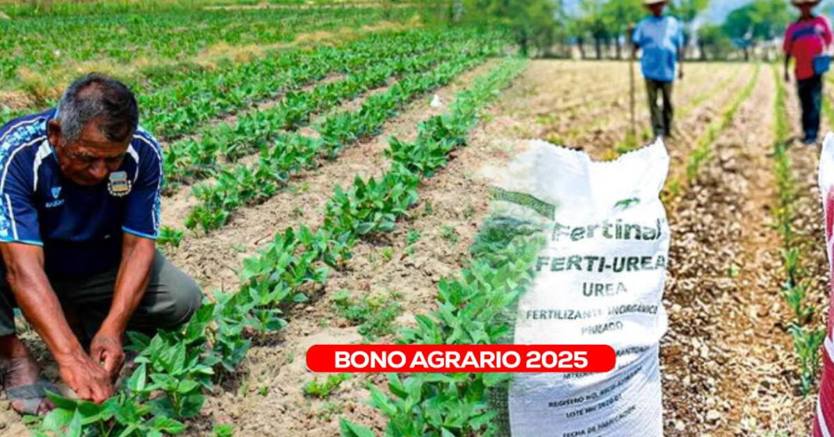 Esta es la fecha límite para el cobro del NUEVO Bono Agrario que beneficia a productores peruanos