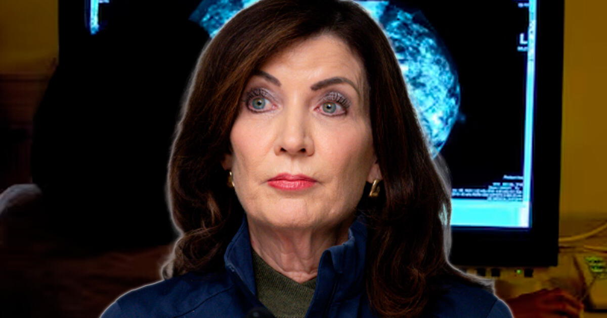 Kathy Hochul firmó una serie de leyes en Nueva York: ¿son favorables para los ilegales?