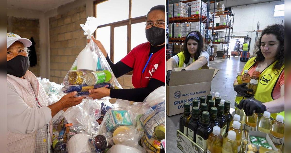Es oficial | ALIMENTOS GRATIS en Florida del 13 al 20 de junio: estos son los lugares para recoger las despensas