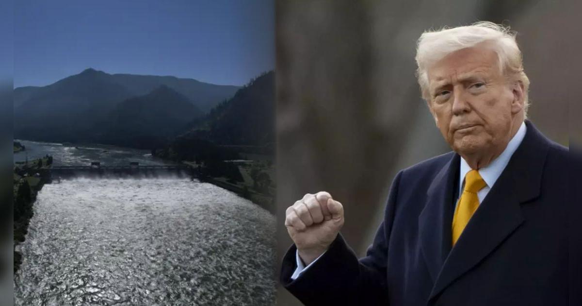 Trump le da la espalda al salmón: gobierno de Estados Unidos cancela programa de protección ambiental en Columbia