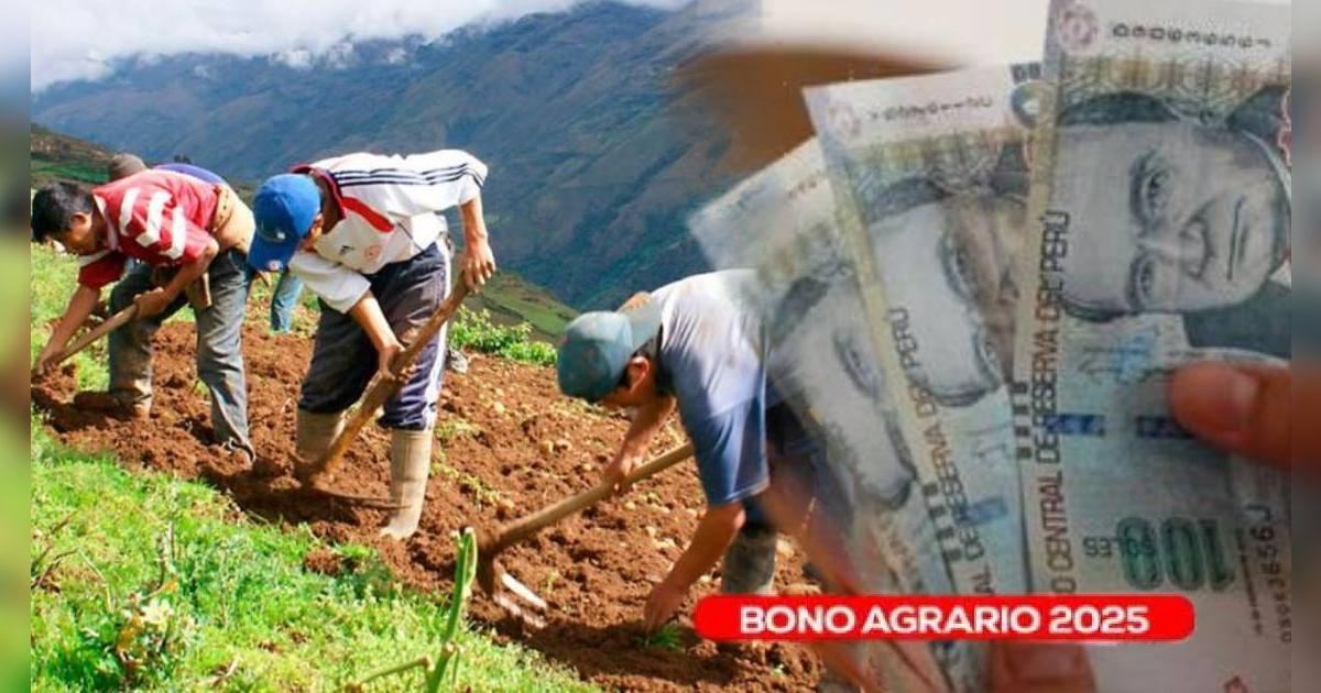 Bono Agrario de junio 2025: cómo saber si fui seleccionado para cobrar el subsidio de 1,000 soles