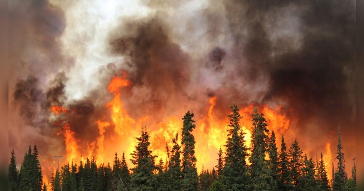 Susto en Florida: Incendio Forestal en Miami - Dade alertó a vecinos locales