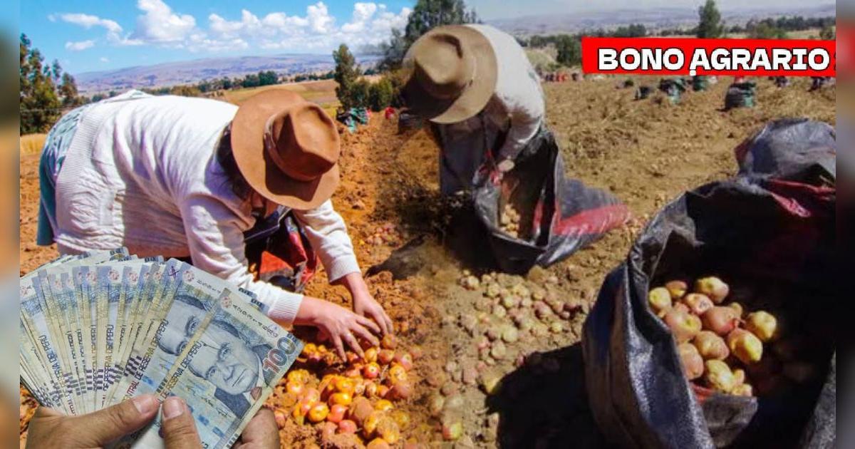 Estos son todos los productores que recibirán el NUEVO BONO de 1,000 soles del MIDAGRI