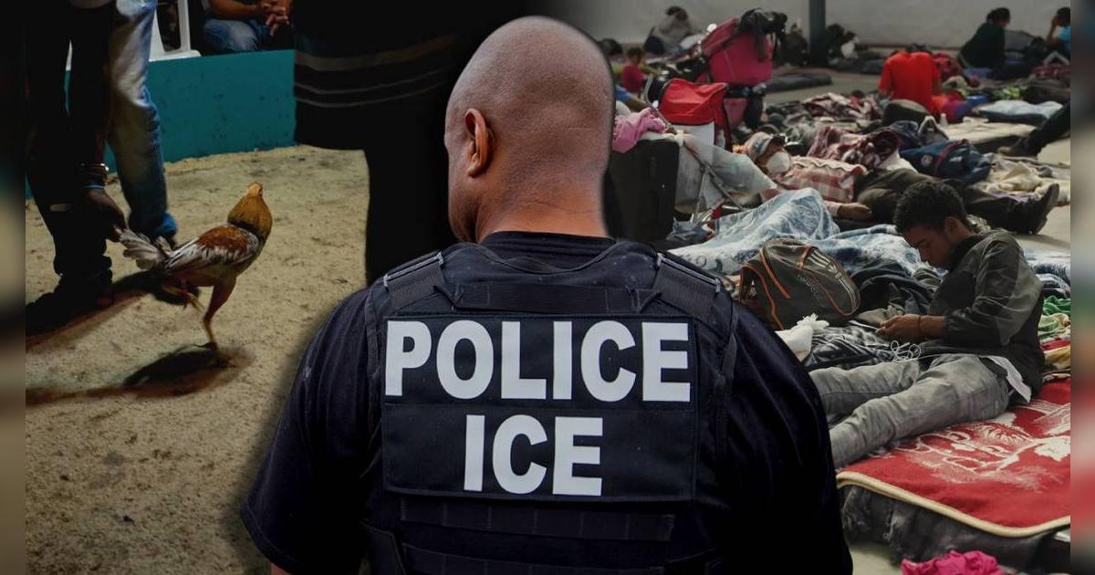ICE dio FUERTES NOTICIAS tras allanar refugio de inmigrantes en EE. UU.: HALLARON motivos para continuar redadas