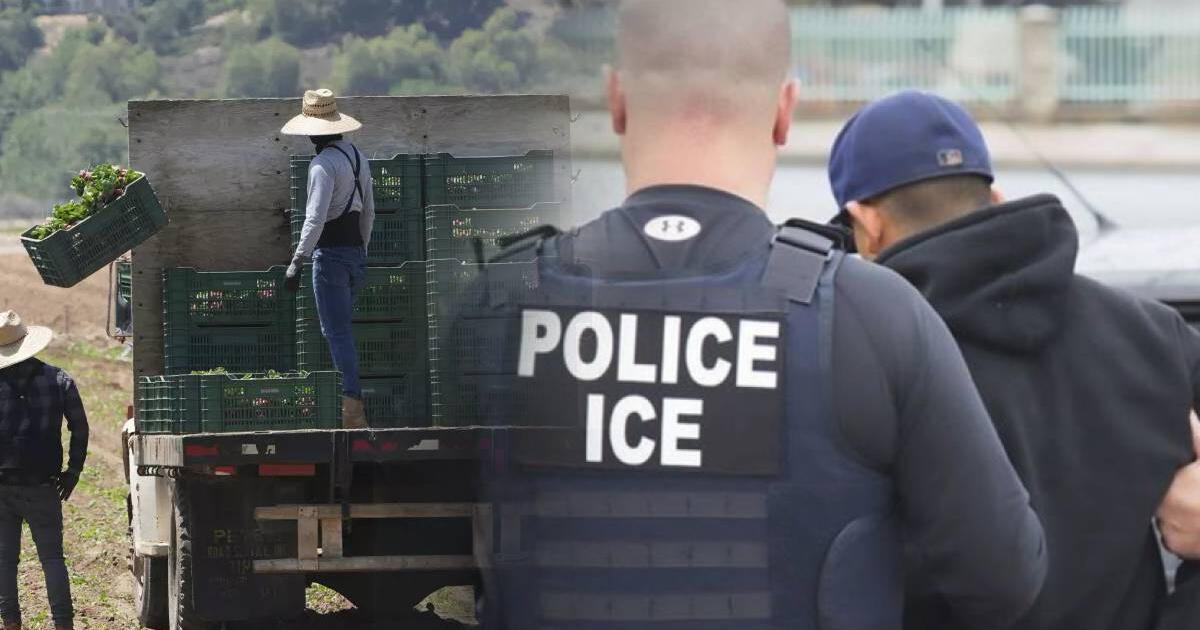 Malas noticias para los inmigrantes: negocios de este sector se ven afectados por las políticas migratorias de Donald Trump