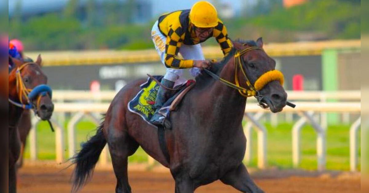 Jockey Fest 2025: El festival que une caballos, música y tradición con ingreso gratuito