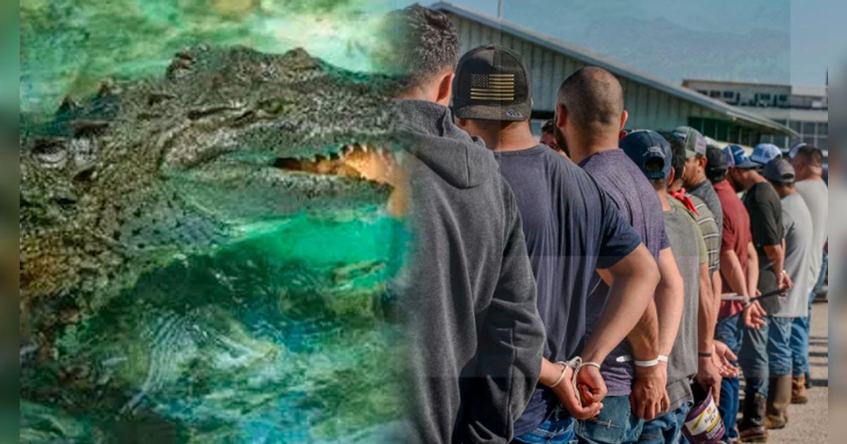 La PEOR propuesta para los inmigrantes: se crearía PRISIÓN rodeada de animales exóticos en este estado