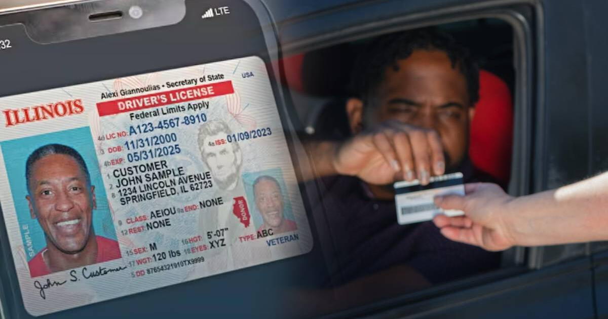 Licencia de conducir móvil en Illinois: quiénes pueden obtenerla, cómo solicitar y todo sobre el documento