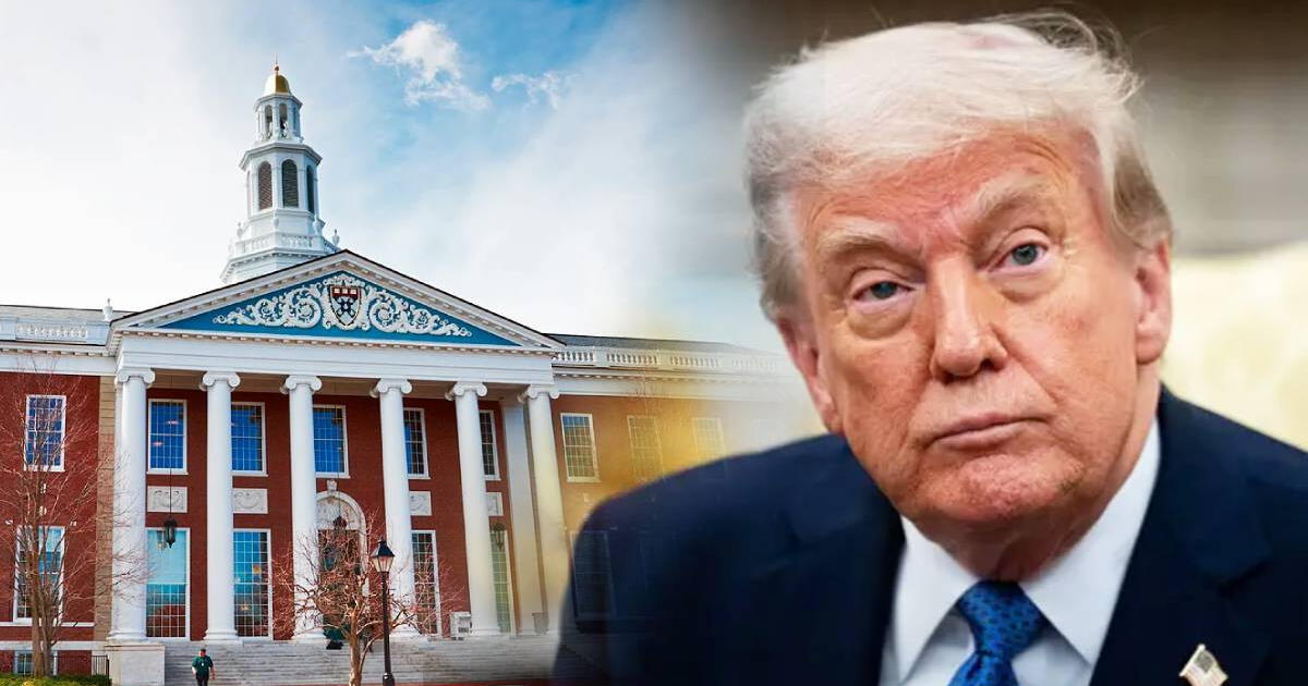 Este es el acuerdo entre la Universidad de Harvard y el gobierno de Donald Trump que benefecia a los estudiantes extranjeros