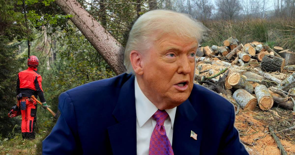 Alerta máxima para EE. UU.: Trump busca eliminar la 