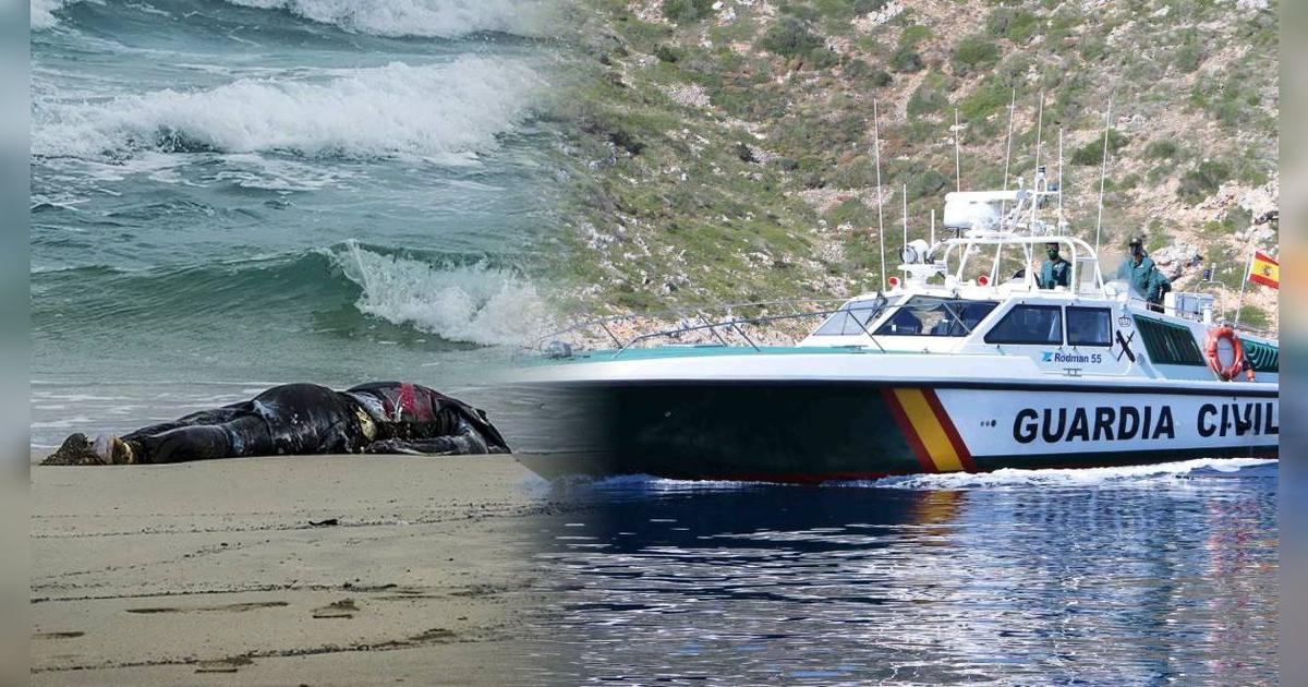 Tragedia en el mar Balear: CADÁVERES de inmigrantes son encontrados con esposas en las manos y los pies