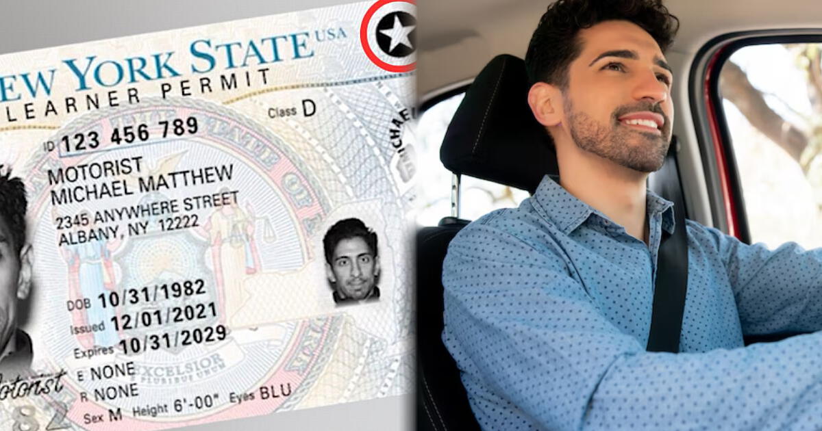 Novedades en la licencia de conducir en Florida: ya no rendirás examen para realizar este trámite