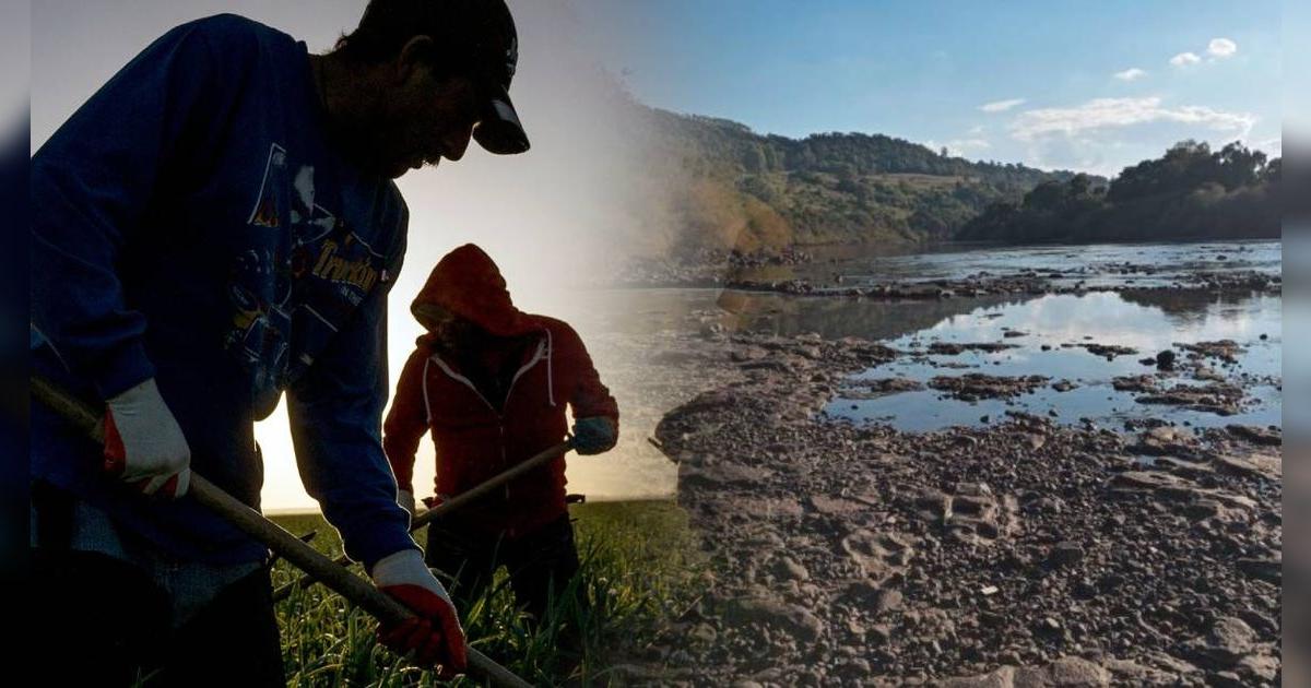 Esta es la buena noticia para los inmigrantes que trabajan en los campos en Carolina del Sur