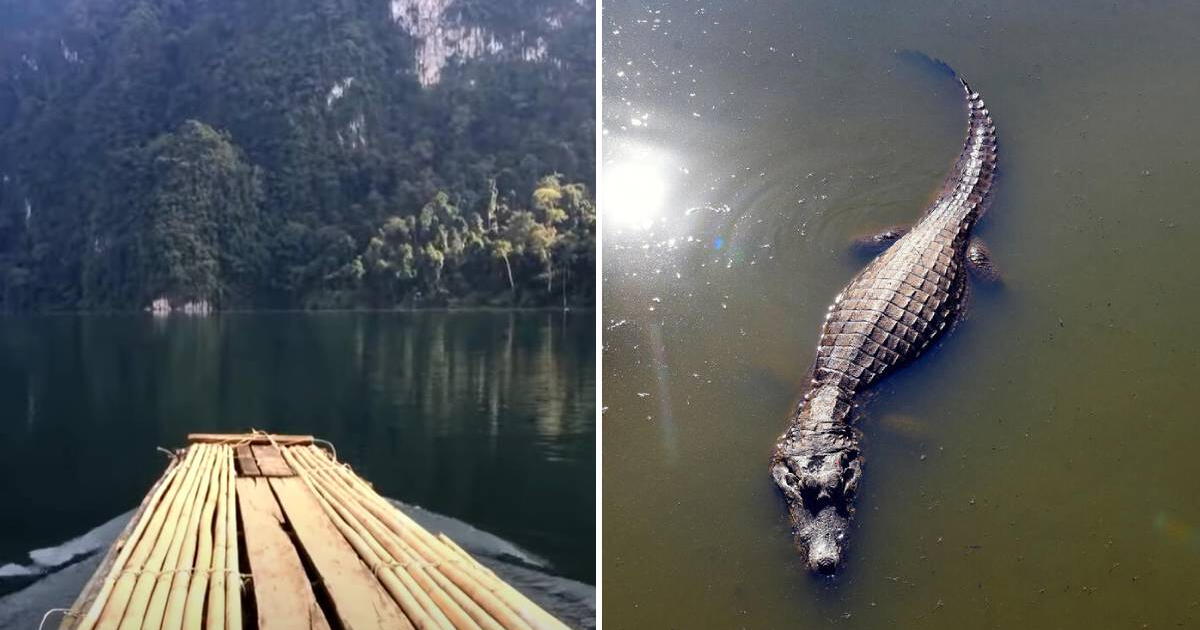 La tragedia de una mujer que pasó con su canoa por encima de un caimán de más de tres metros en Florida