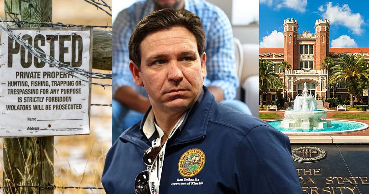 Malas noticias en Florida: Ron DeSantis vetó estas tres leyes que impactarán en la educación, la vida silvestre y programas sociales