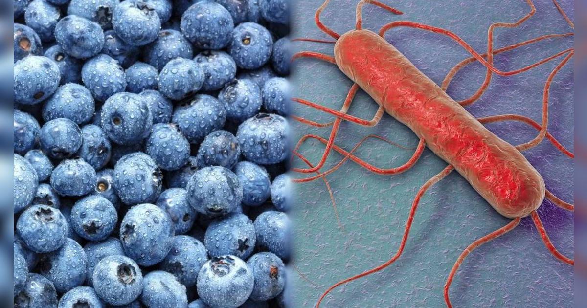 En Estados Unidos | FDA retira este alimento de los mercados por riesgo de provocar listeria