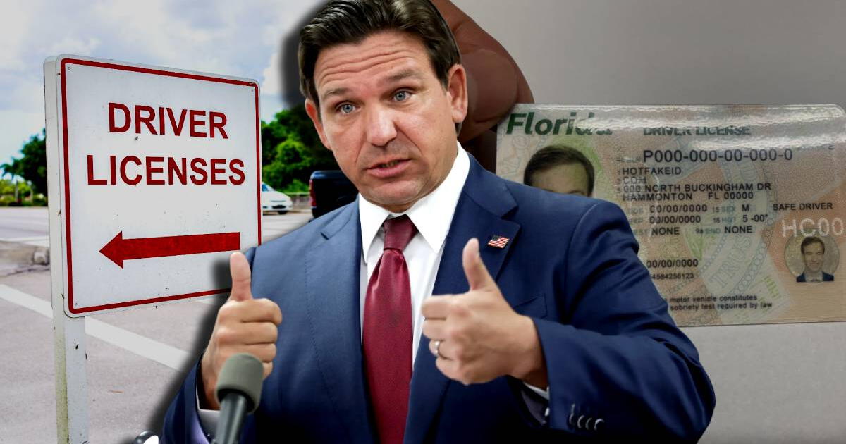 Es oficial para los conductores de Florida: obtener citas para la licencia de conducir será más rápido en esta nueva oficina del DMV