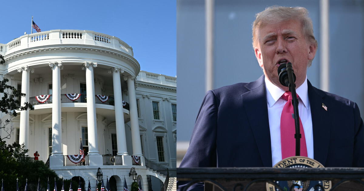 Los posibles candidatos a la pelea de UFC que prepara Trump en Casa Blanca: un excampeón regresaría del retiro