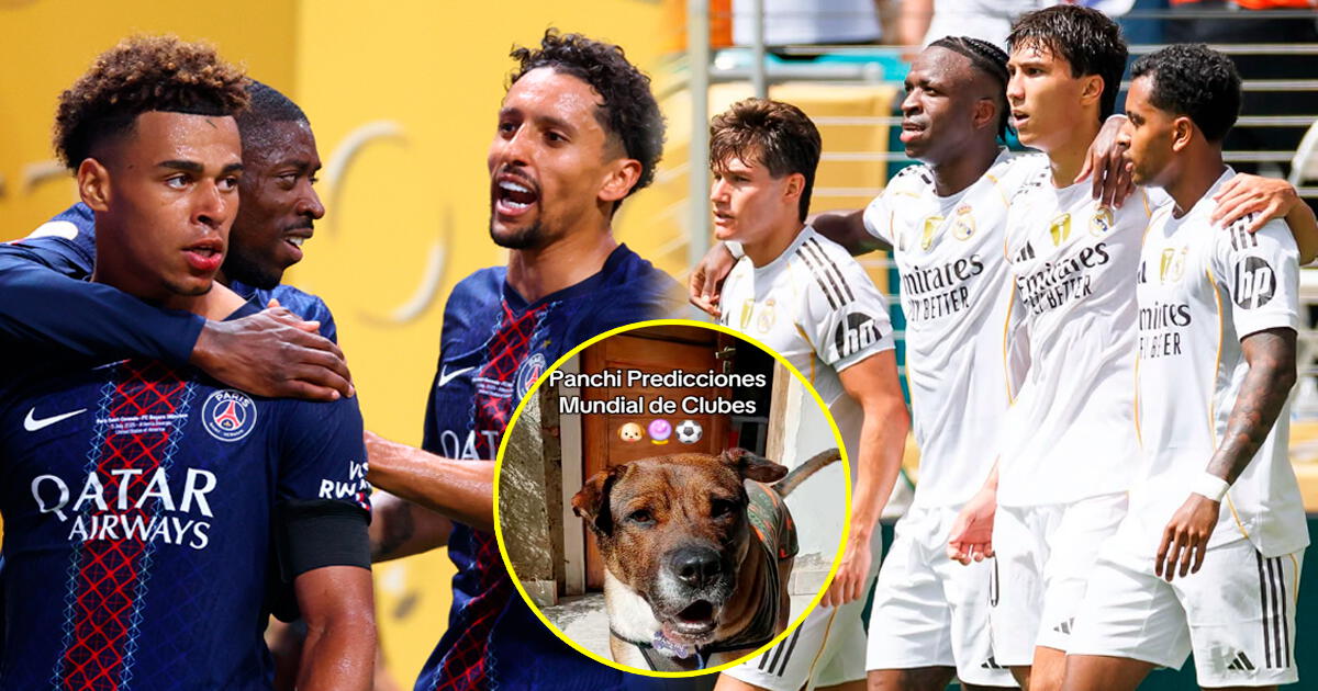 Perrito Panchito, quien pronosticó a Chelsea como primer finalista, revela ganador del Real Madrid vs PSG