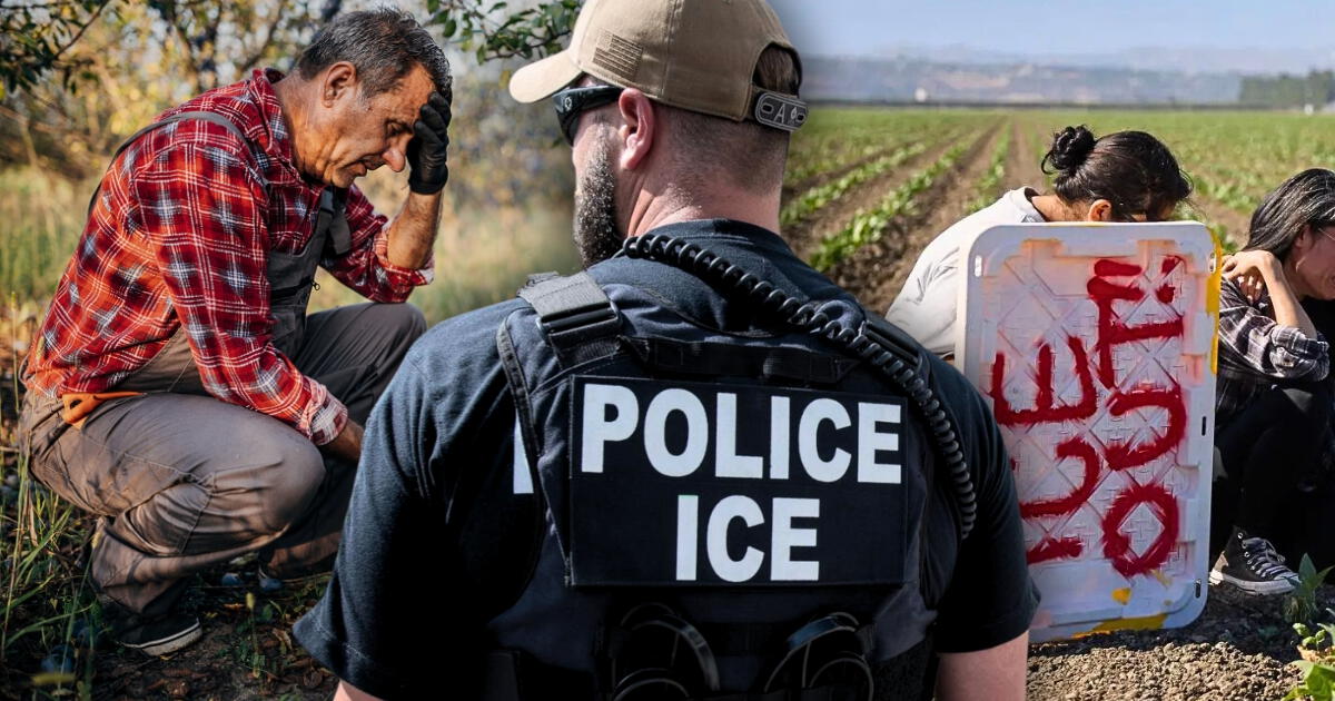 Confirmado: arrestos de inmigrantes se disparan y alcanzan esta drástica cifra en las granjas California