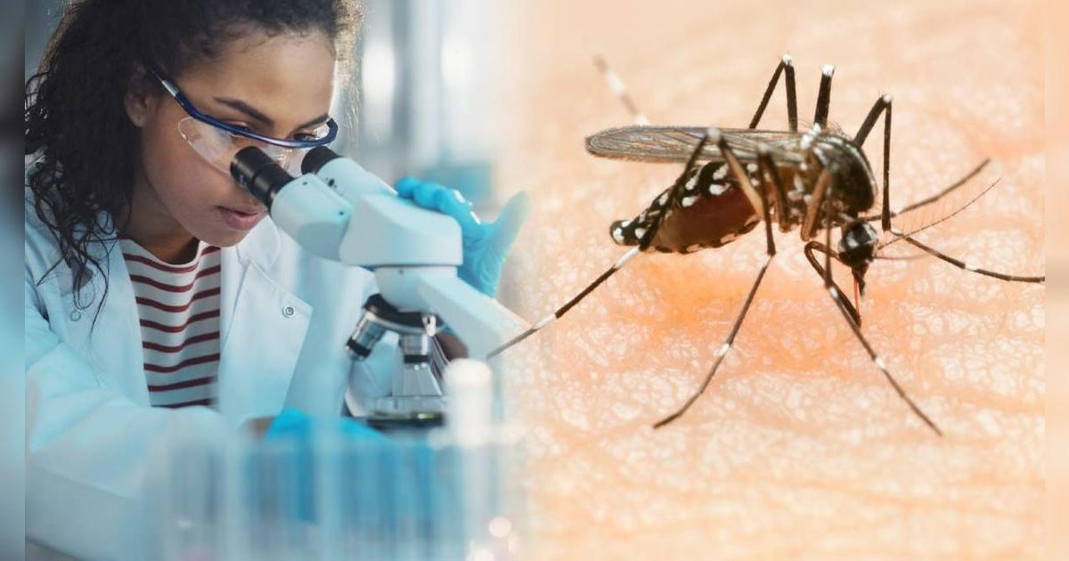 Ya es oficial en Estados Unidos: científicos buscan prevenir epidemias como la malaria usando la inteligencia artificial
