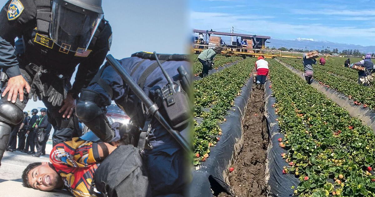 Pánico en California: estos trabajadores se escondieron por 15 horas ante las redadas de ICE