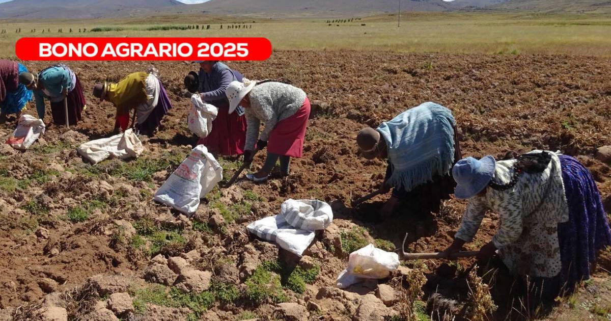 Bono Agrario, julio 2025: hasta cuándo se podrá acceder al monto activo y quiénes son beneficiarios este mes