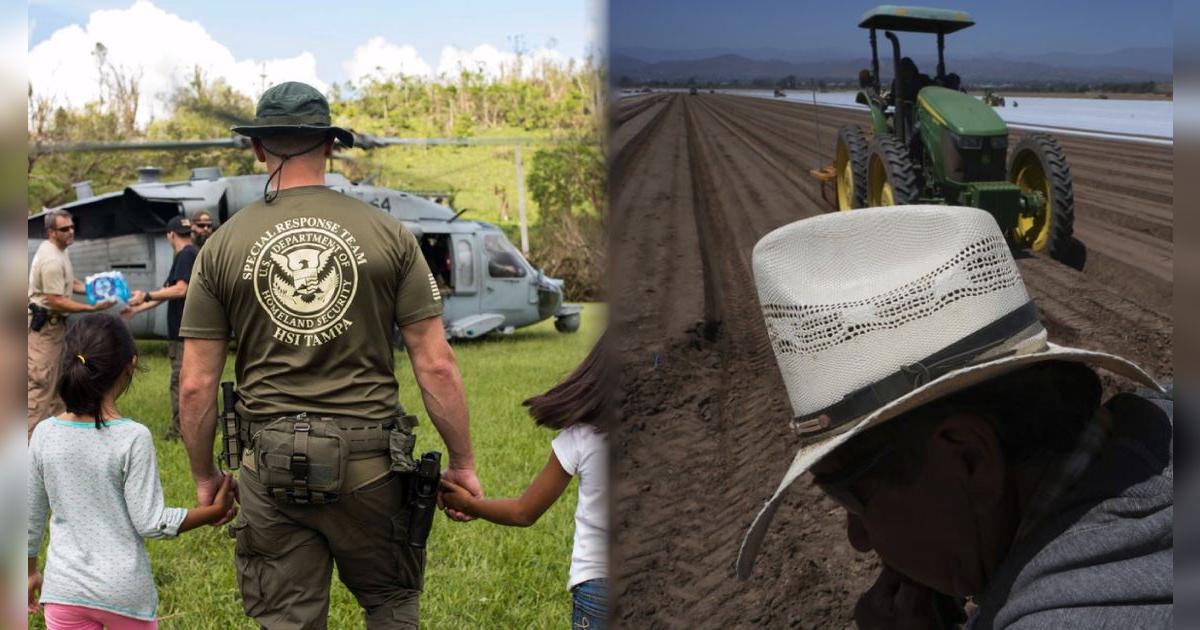 Diferentes granjas de Estados Unidos afrontan una crisis laboral por esta importante razón