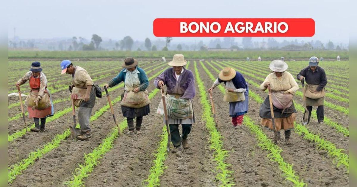 Bono para trabajadores agrarios en Perú: hasta cuándo se extenderá el plazo para cobrar los 1,000 soles