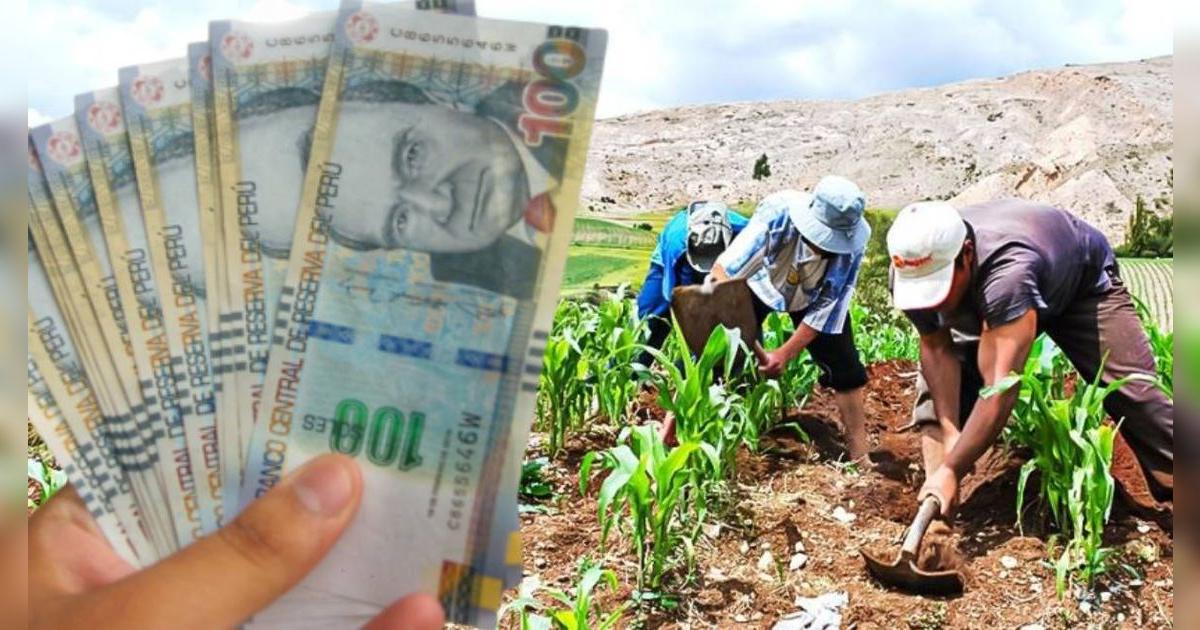 La mejor noticia para trabajadores del sector agrario: este es el importante pago que puedes cobrar en agosto 2025