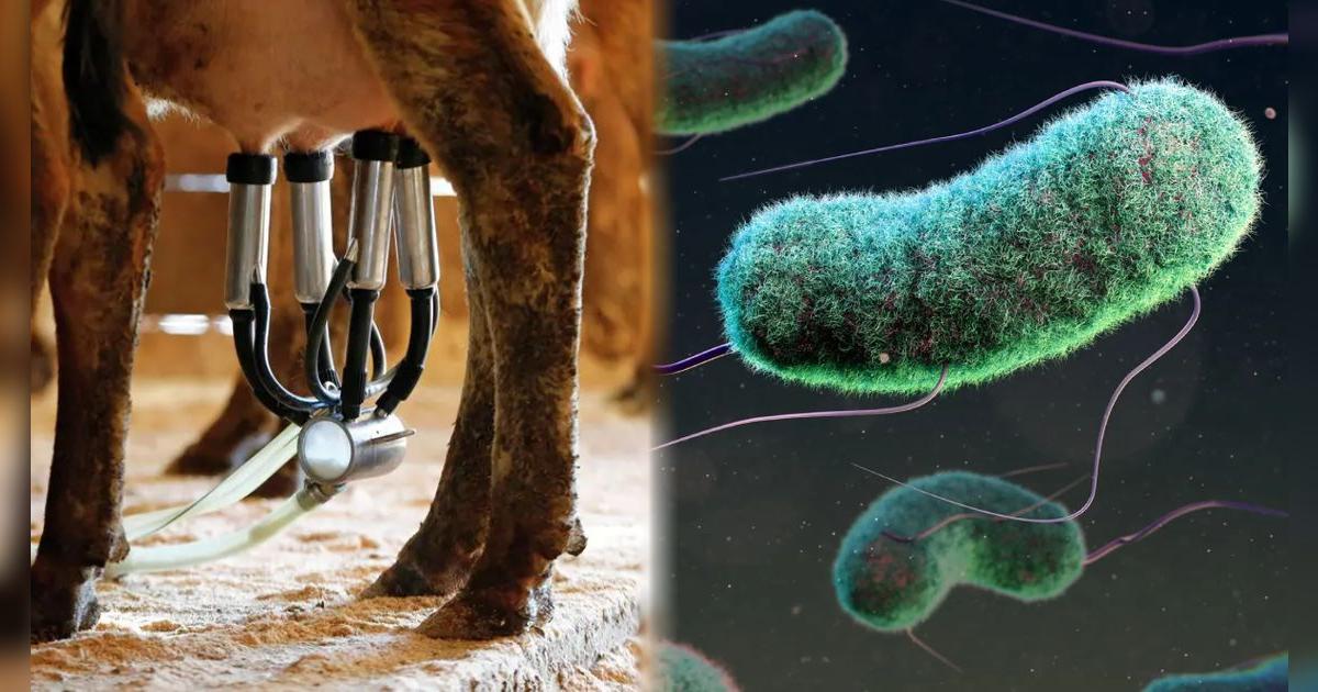 Alerta sanitaria en Florida: se han registrado 21 personas enfermas, incluidos niños, por consumir este producto