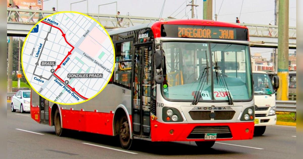 Corredor Rojo amplía su ruta 204 con nuevo recorrido desde HOY: contará con 4 paraderos más