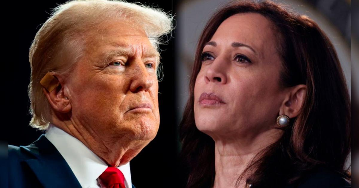 ¿Los estadounidenses se arrepienten de sus votos en las elecciones de 2024? Encuesta se hace viral