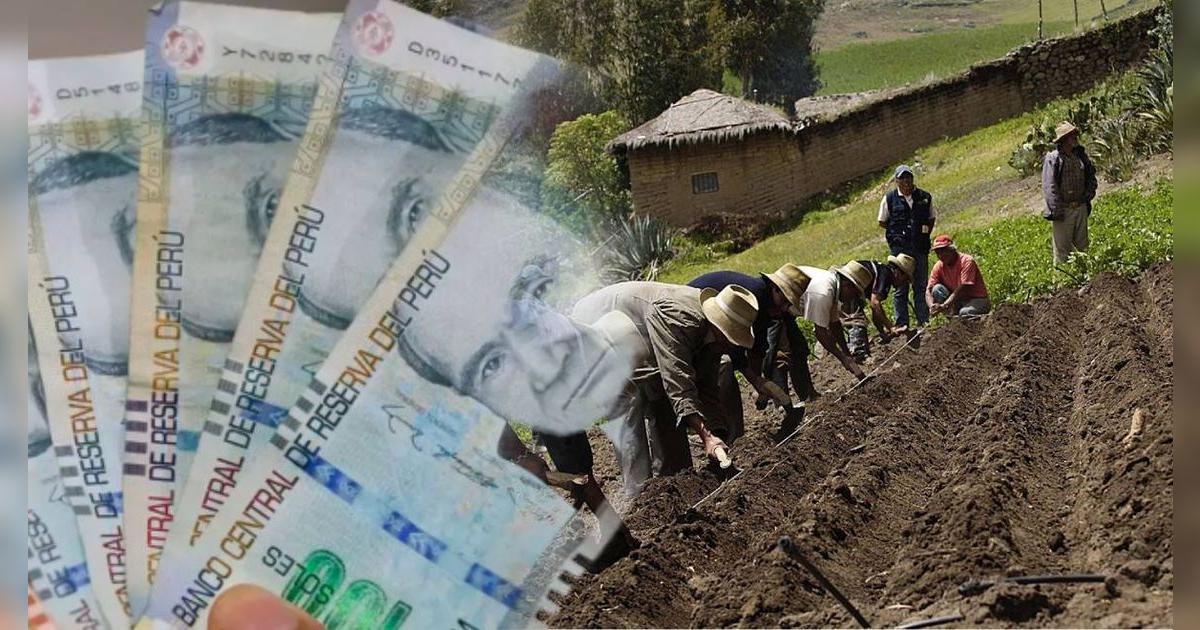 El subsidio de 1,000 soles con vigencia para todo el 2025 que se puede cobrar gracias al MIDAGRI