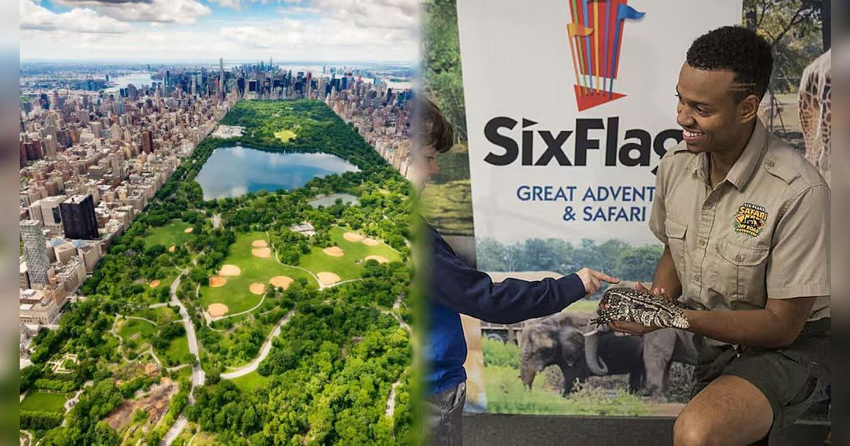 Este es el mejor lugar que puedes visitar en familia y está a una hora de la ciudad de Nueva York