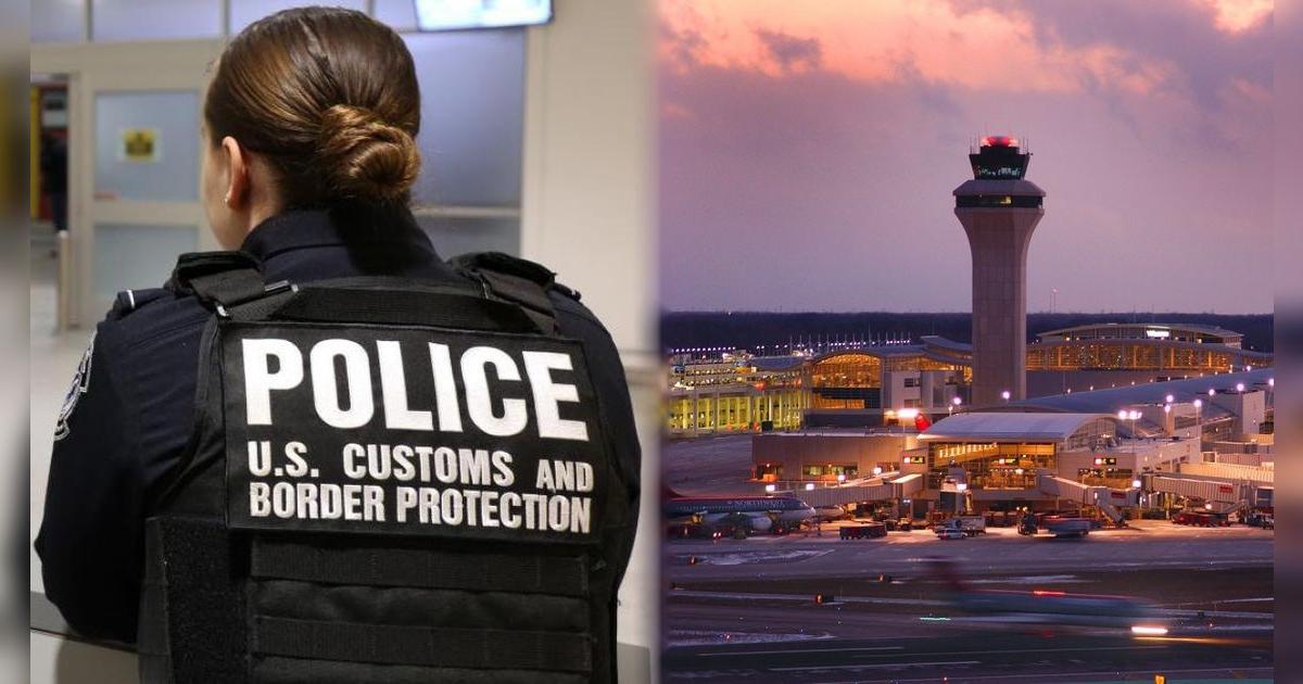 De terror: CBP incautó carne de animales silvestres en el Aeropuerto de Detroit y podrían estar infectados
