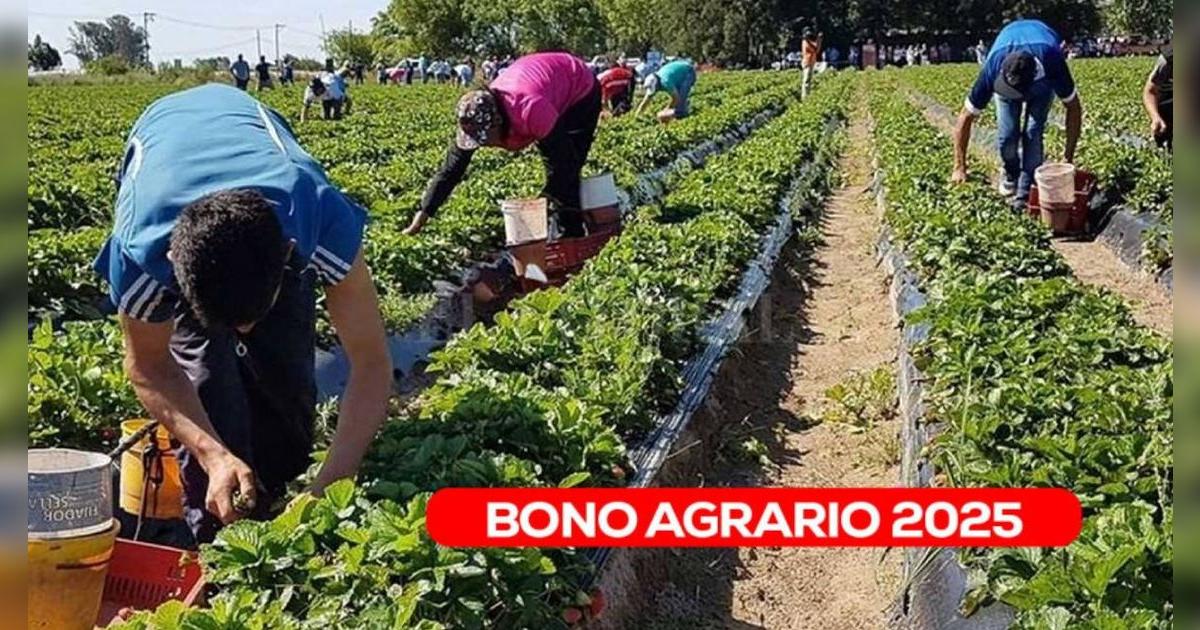 ¿Quiénes podrán cobrar el nuevo subsidio de 1,000 soles enviado por el Gobierno? Esto es lo último que se sabe