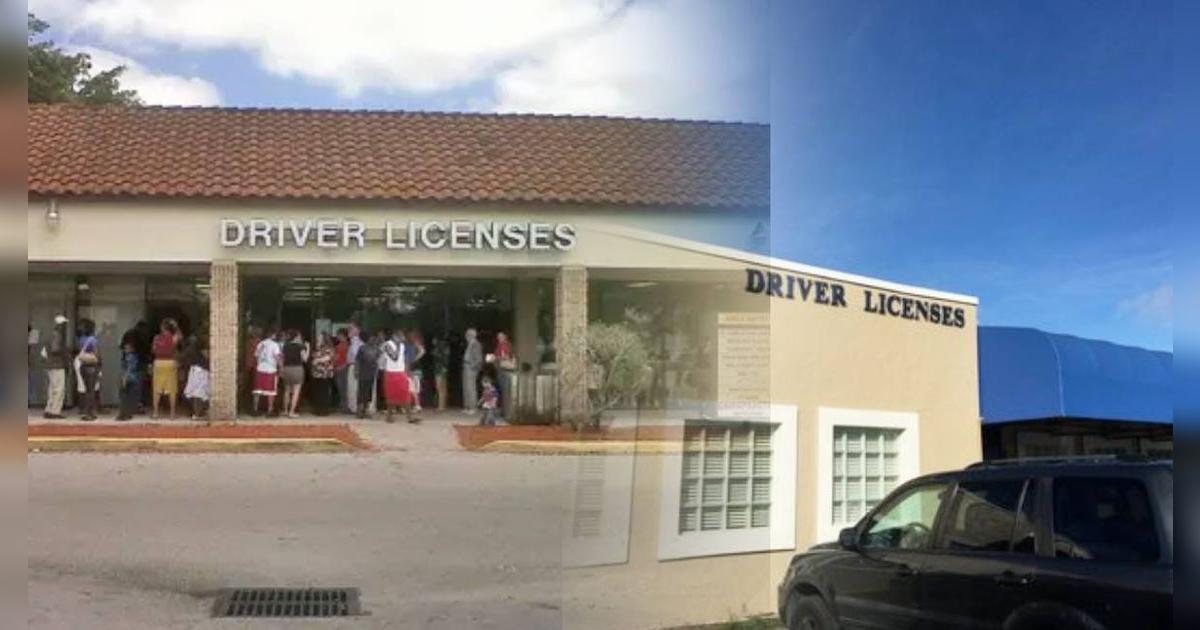 Ojo, inmigrantes: así puedes encontrar una oficina local del DMV en Florida