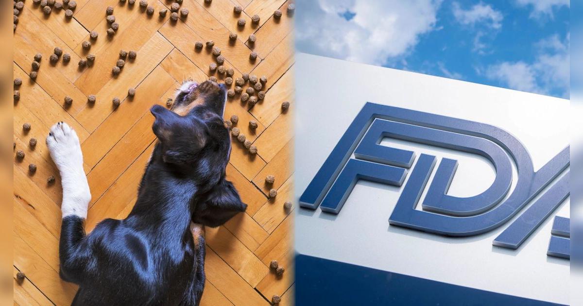 Alerta en Estados Unidos: retiran alimento para mascotas en locales minoristas de estos importantes estados