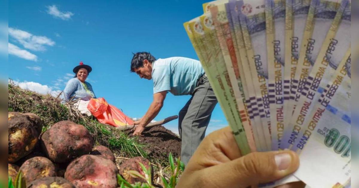 MIDAGRI ofrece importante beneficio para trabajadores | Cómo acceder, monto y fecha de pago