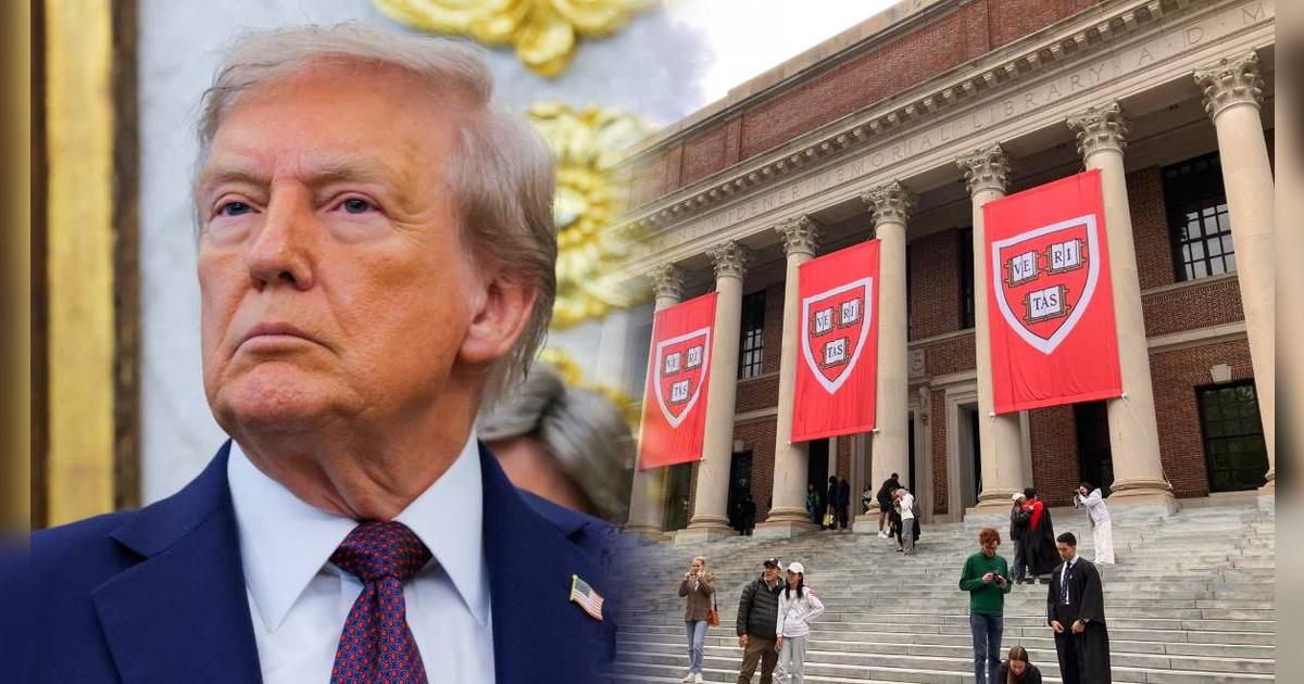 Se confirma pésima noticia para estudiantes inmigrantes: debido a Trump, universidades de EE. UU. enfrentan esta difícil situación